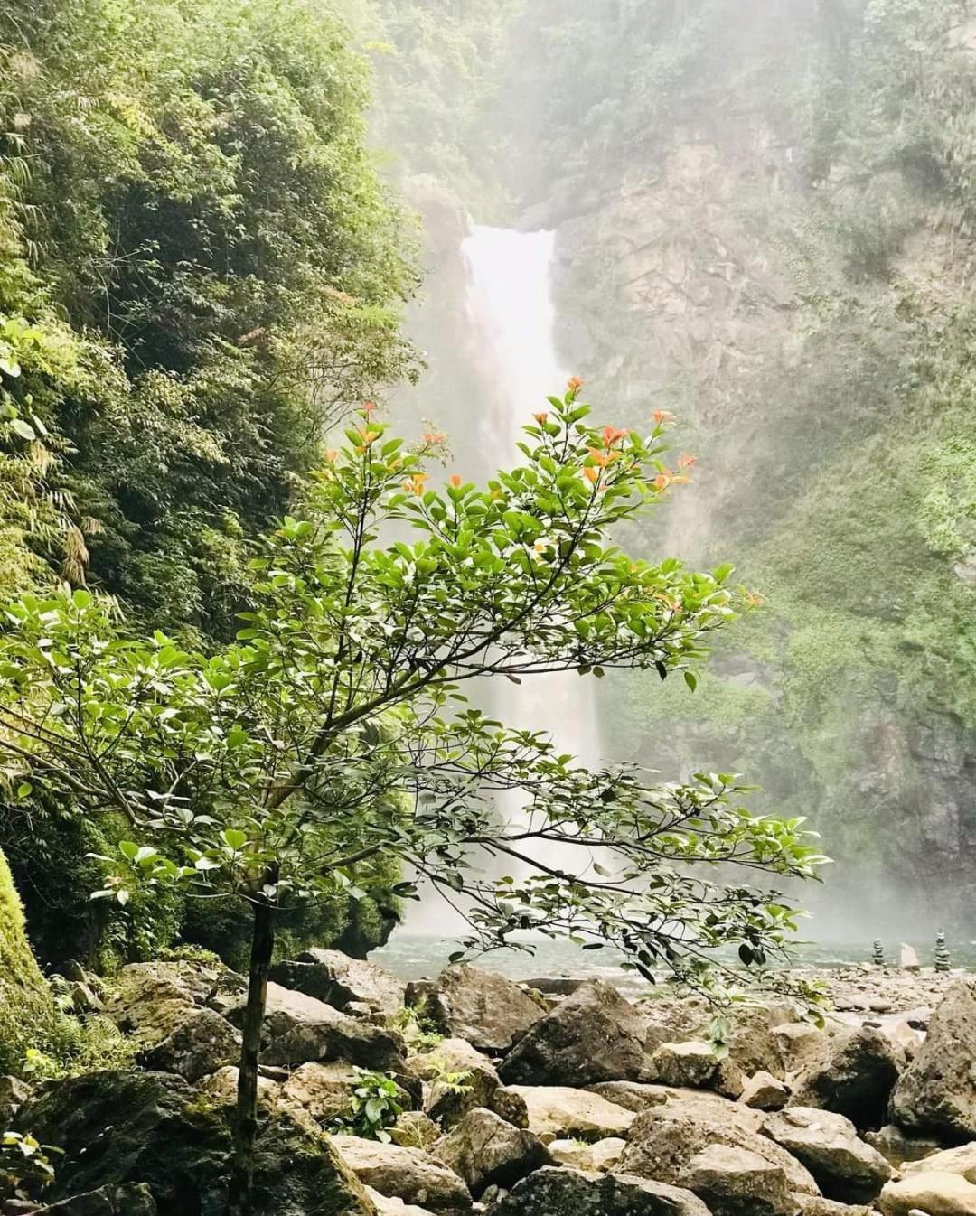 Batad Pension And Restaurant Banaue Dış mekan fotoğraf