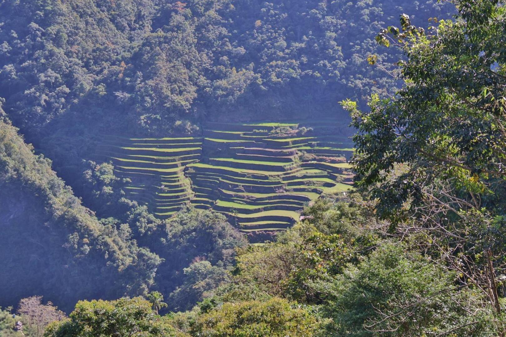 Batad Pension And Restaurant Banaue Dış mekan fotoğraf