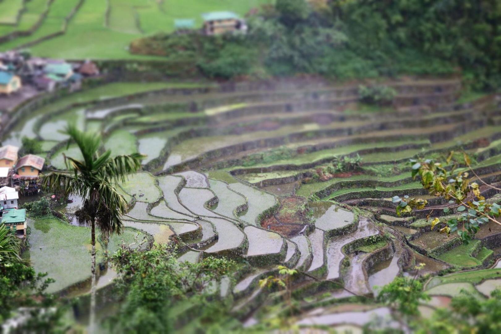 Batad Pension And Restaurant Banaue Dış mekan fotoğraf